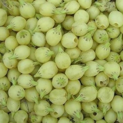 511t4yda3ol. uf1000,1000 ql80