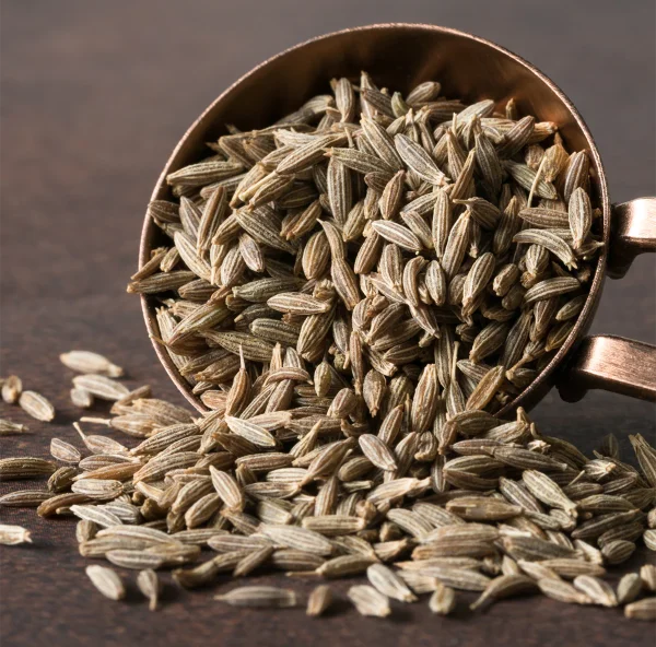 cumin 543f69f0 f80b 42e7 b0c6 a45ee4d535b4