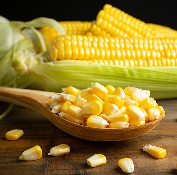 maize