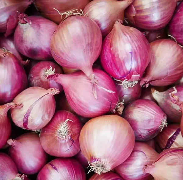 onion