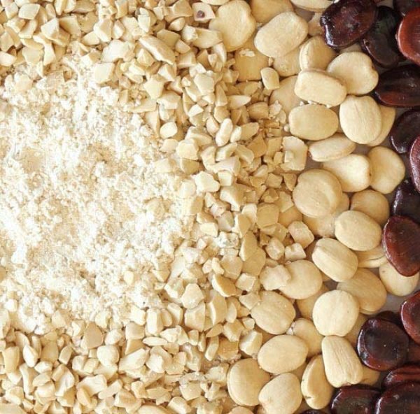 tamarind seed powder 2185775